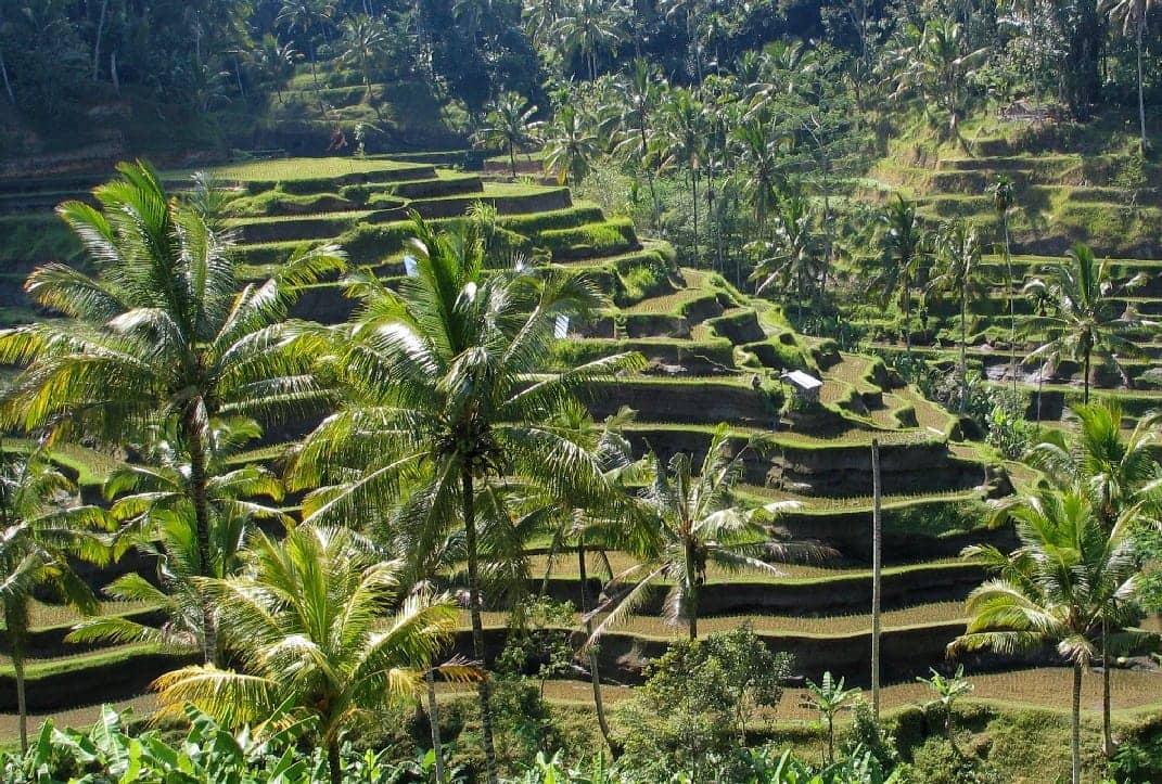 Indonesia